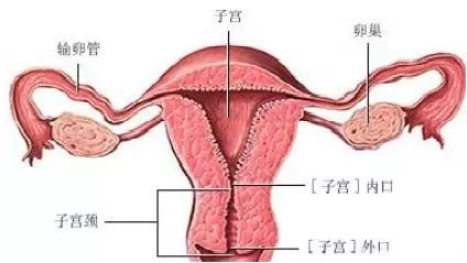 瘙痒异味,白带豆腐渣,90%女性都有的妇科炎症你敢说你