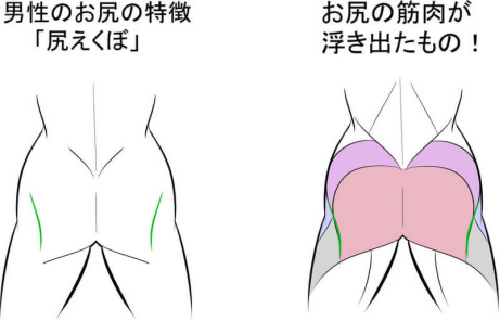 干货 教你画男性与女性的臀部 雪花新闻