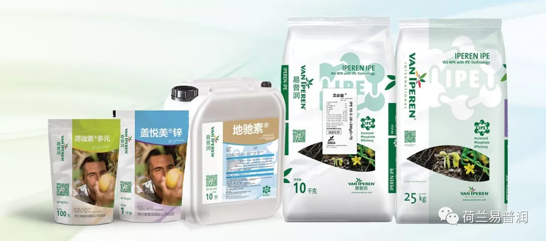 荷微素03多元,地驰素64,ipe水溶肥,艾必益03)在番茄上的效果