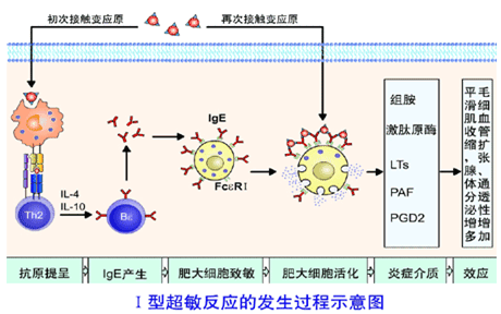 支原体是怎么感染上的（支原体是怎么感染上的怎么治疗）-85模板网