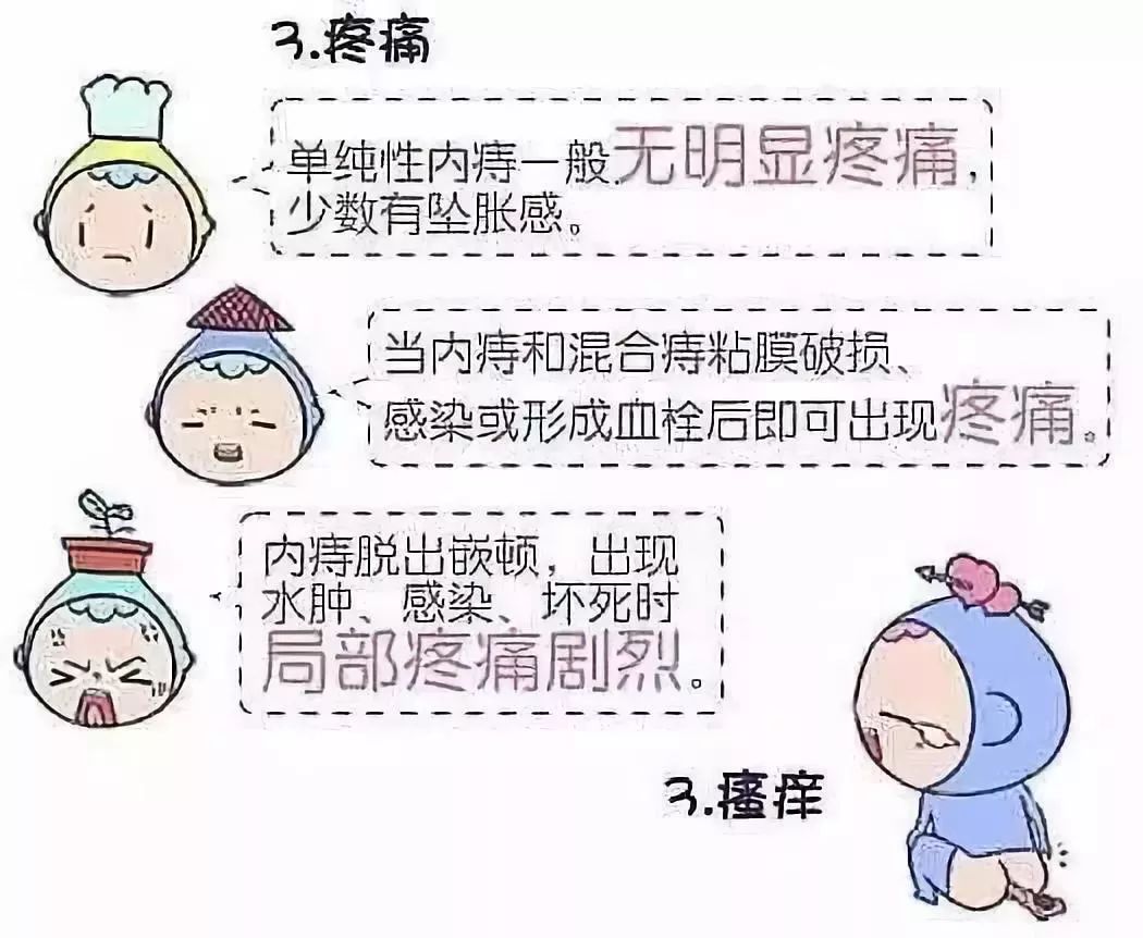 肛肠健康知识小漫画带你认识痔疮