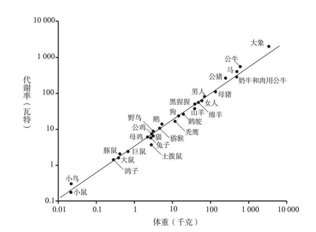 费城人口比例_每年6万人搬离费城,why(3)