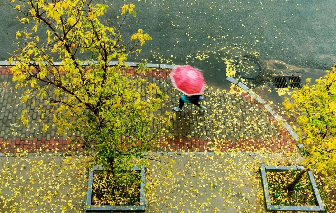 一场秋雨一场寒!今晚,明天白天通州都有雨!