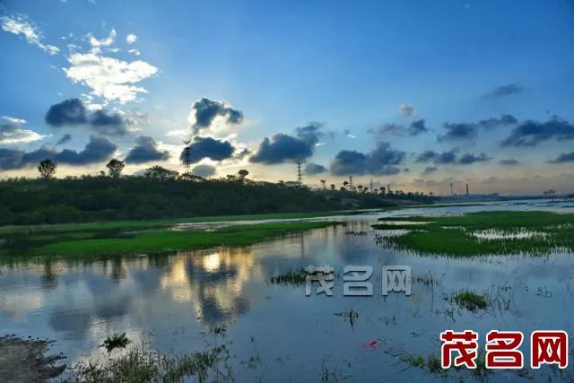 露天矿生态公园美景