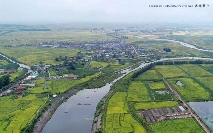 走进五常美丽乡村,大米节共话稻花香