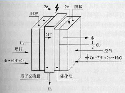 电池的反应原理是什么_男生有反应是什么感觉(3)