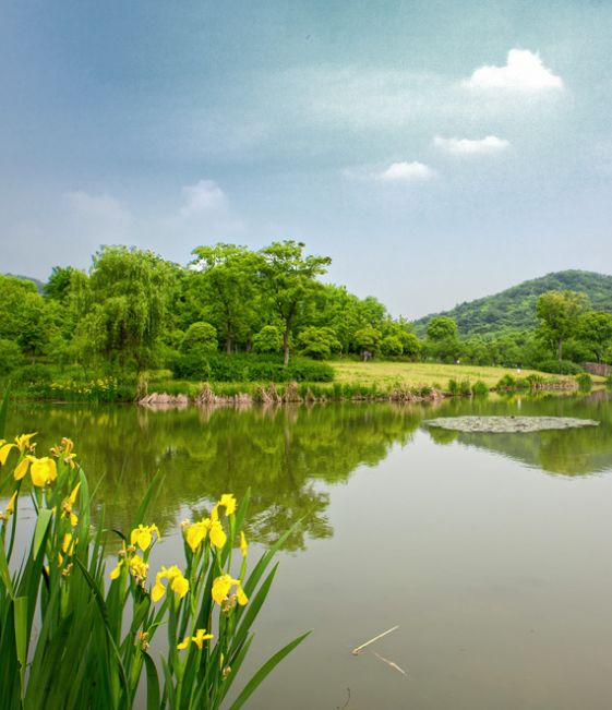 镇江全部人口_镇江金山寺