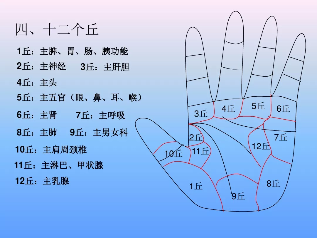 中医手诊的起源手诊全集