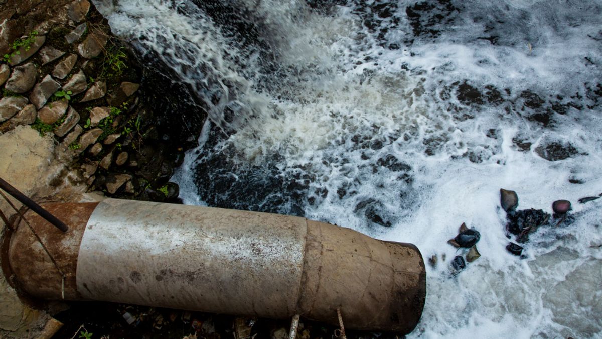 世界上污染最严重的河流沿岸的生命