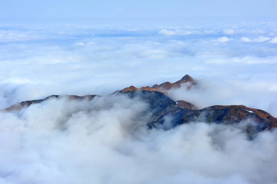 【趣江西】南中国最美的高山草甸,云海星空都在这——