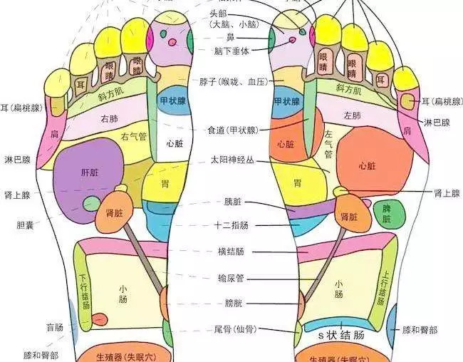 足疗之十大功效