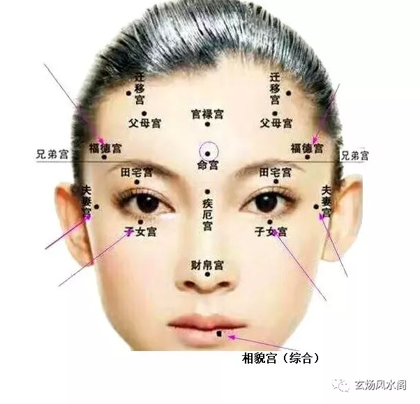 首页 > 热点 > 正文   面部分成十二宫.