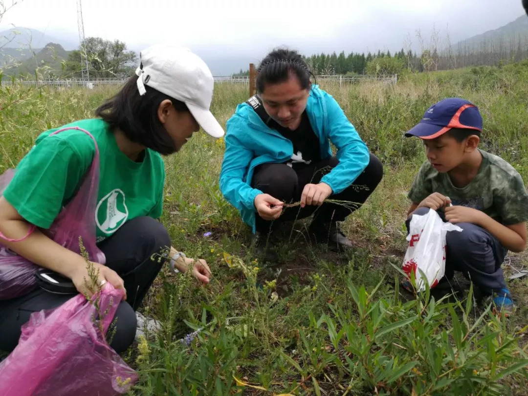 暑假结束中草药研学游之旅精彩集锦