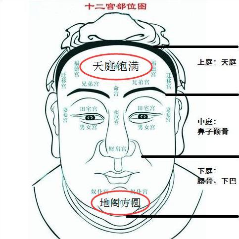 古人描述的有官相福相大富大贵之人,一定会说到天庭饱满.