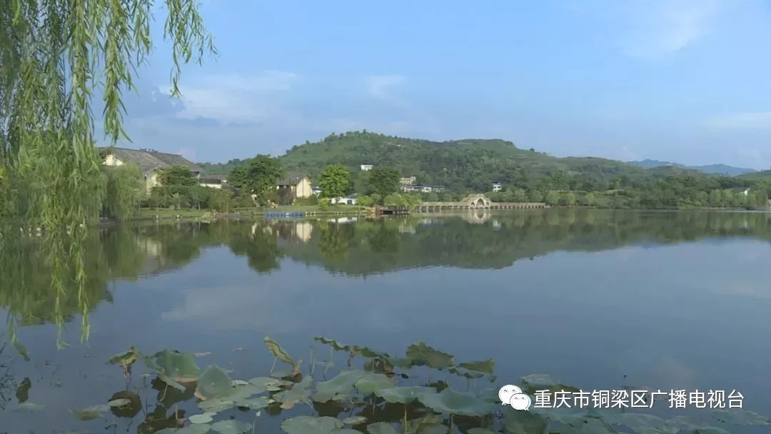 "重庆最美河流"9月3日开始投票,快来为铜梁的4条参评河流(水库)点赞吧