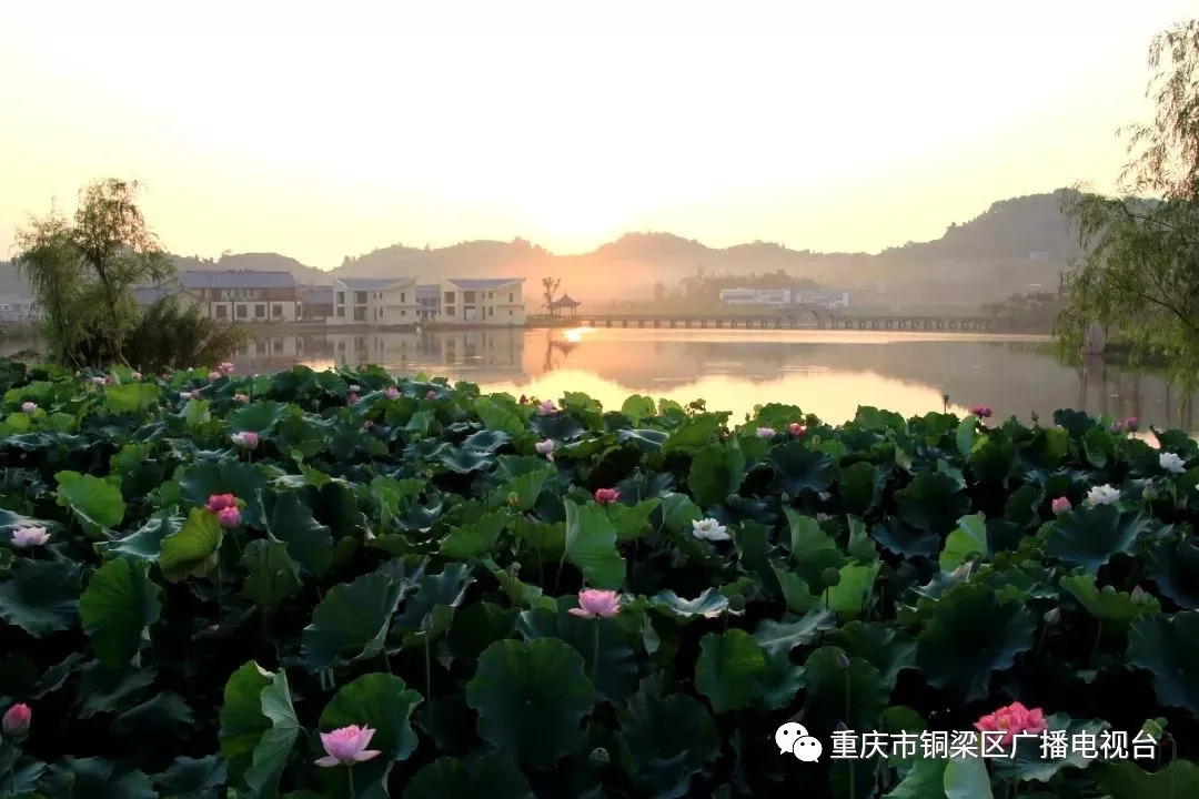 "重庆最美河流"9月3日开始投票,快来为铜梁的4条参评河流(水库)点赞吧