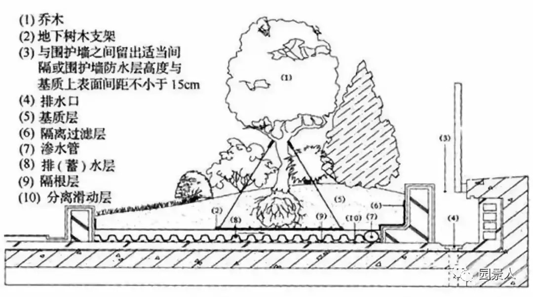 屋顶绿化种植区构造层剖面示意图