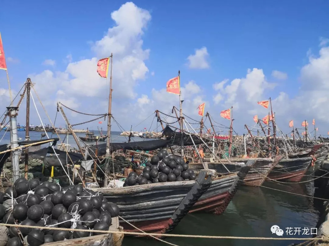 啊蓬莱开海盛况一筐筐海鲜陆续被送上岸莱州海庙港,三山岛港,朱旺港