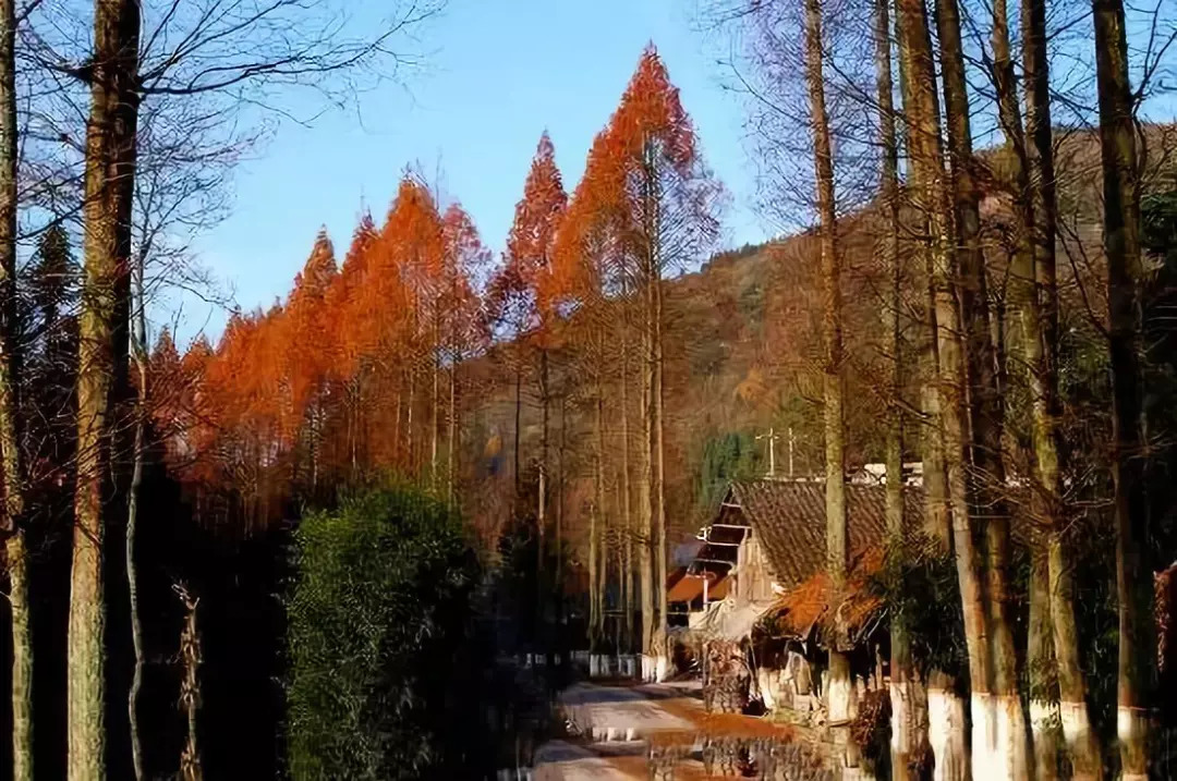 利川各大乡镇都"大有来头!你竟然还不知道?_汪营