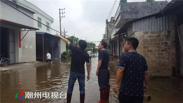 东凤礼阳郑村人口_人口老龄化图片