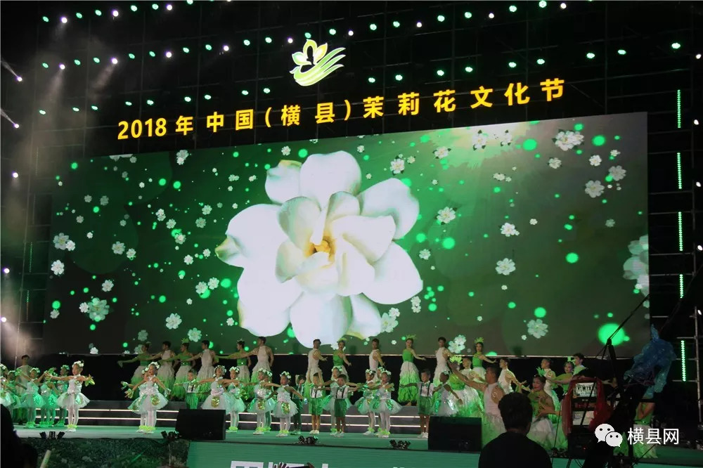 2018年中国横县茉莉花音乐节全场视频曝光