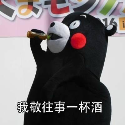 敬往事一杯酒表情包