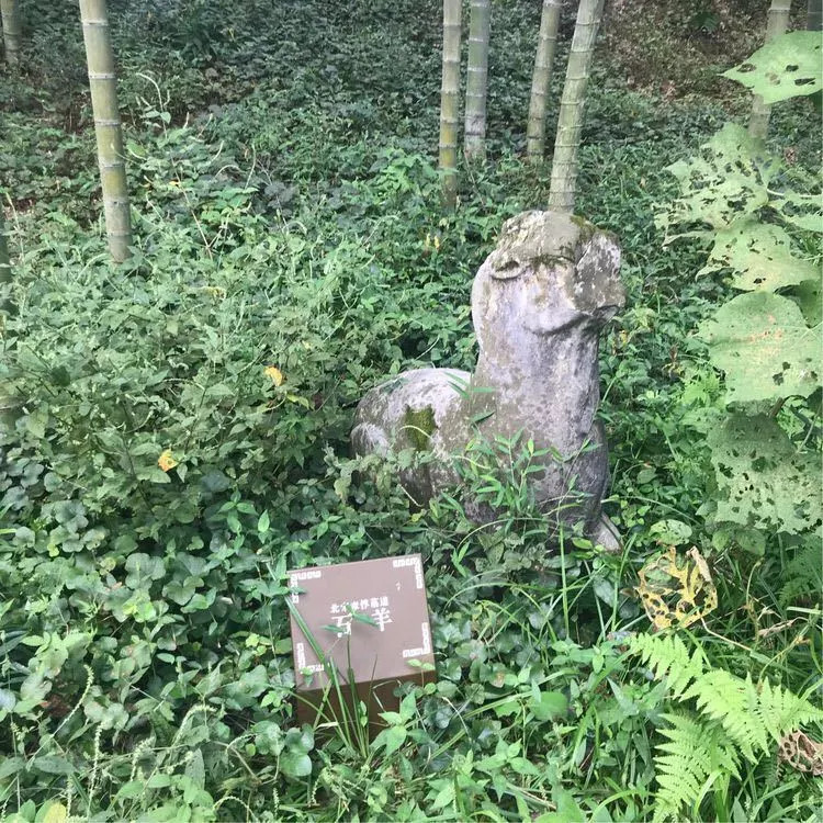 人文寻访第八季day1花絮章惇墓与李心传遗迹