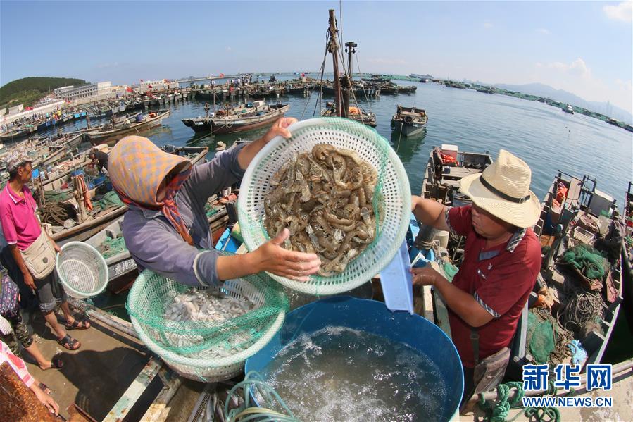 青岛:休渔期结束 首轮小海鲜抢占"开海"市场