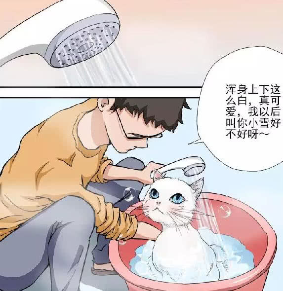 搞笑微漫画我的猫变成人了