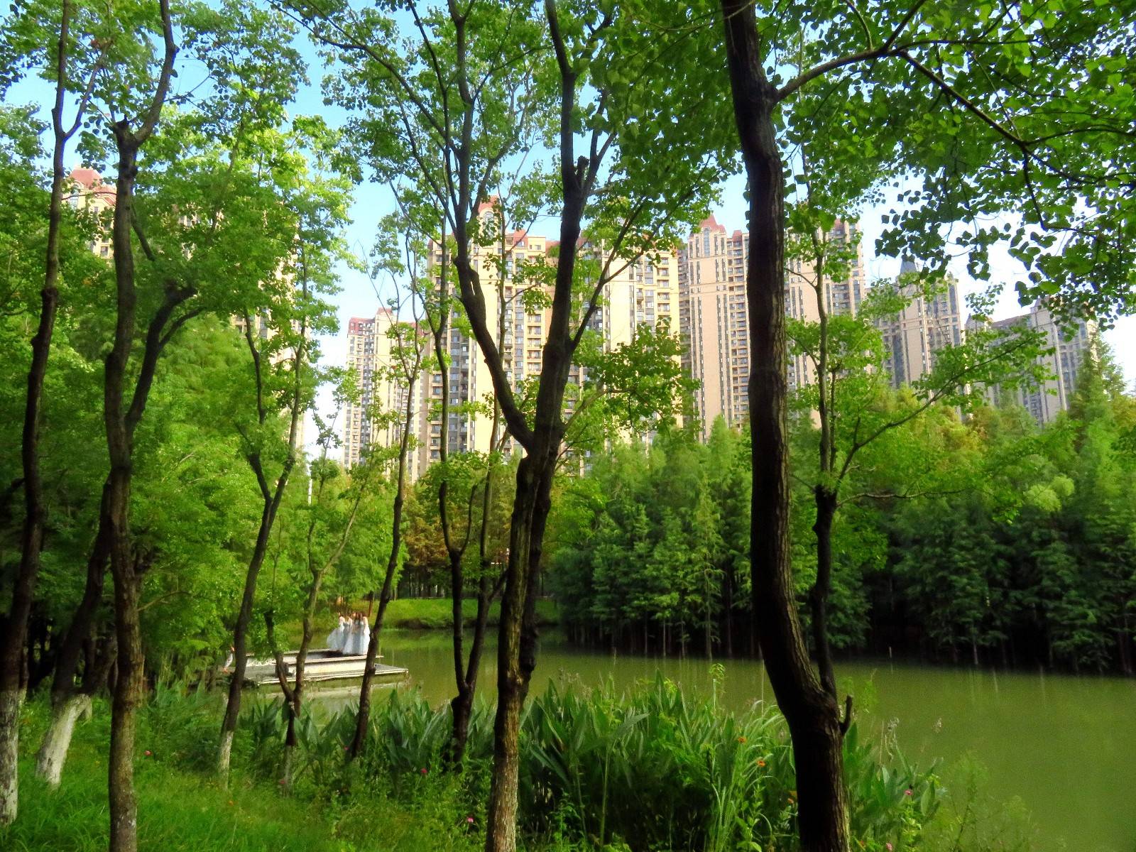 宜昌运河公园秋色渐浓秋景迷人吸引众多市民来观景休闲