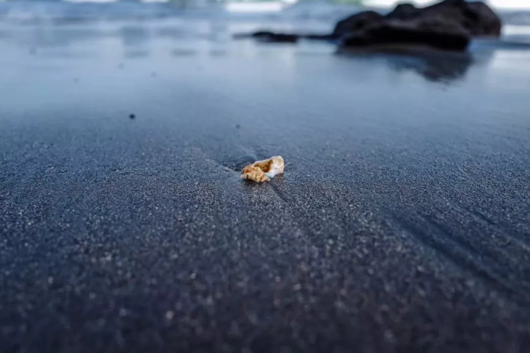 有一种心情叫想和你去看海