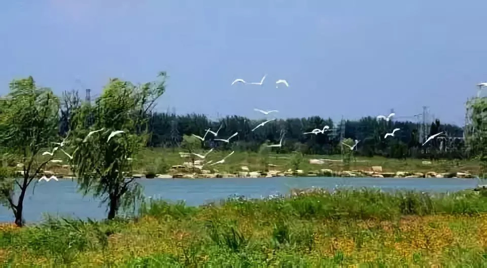 白塘河湿地公园