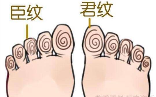 8,脚下旋纹"旋纹"是指脚心纹路呈现漩涡型有旋转的趋势.