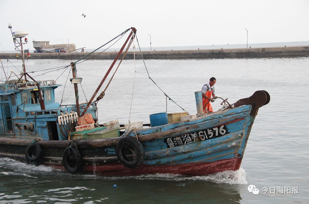 海阳大辛家村东海渔港码头晚上回来,鱼满舱啊.