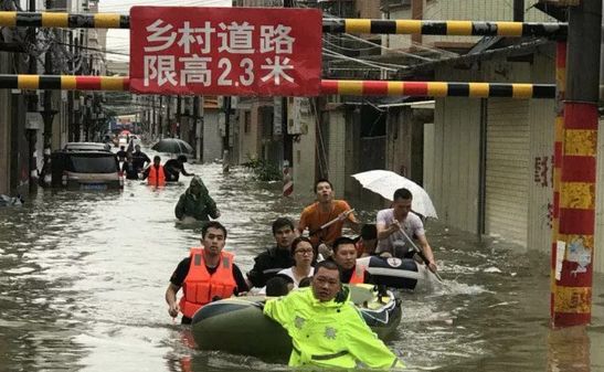 泽国多少人口_人口普查