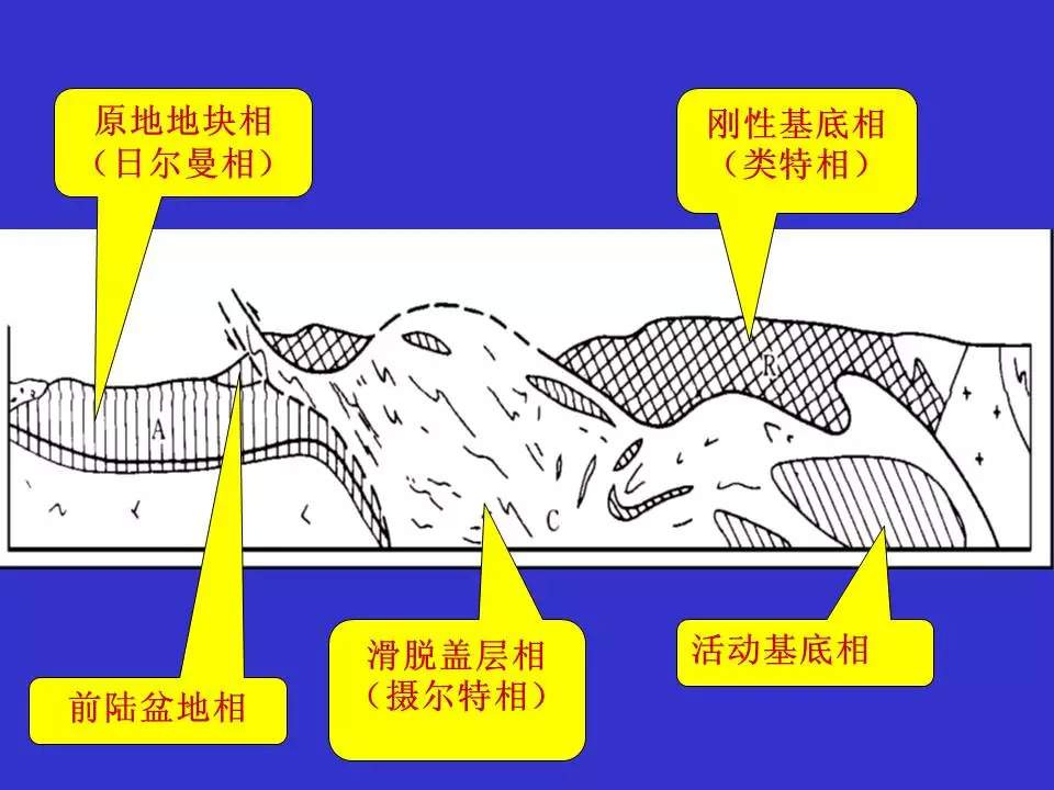 大地构造学:造山带—造山带大地构造相