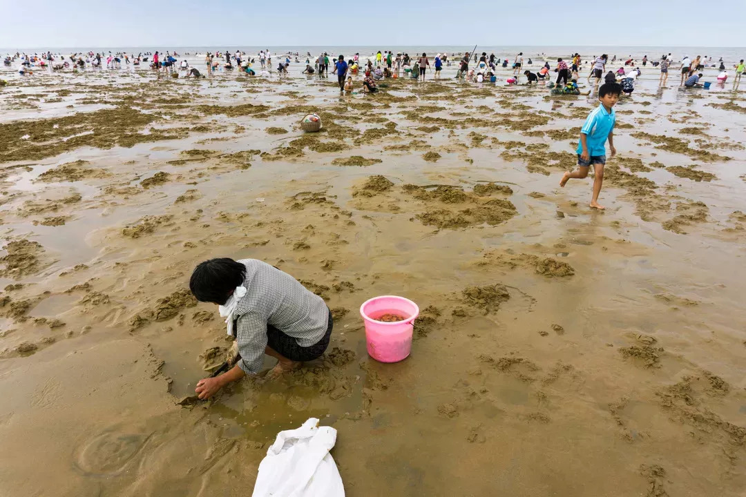 大海的厚赐赶海刘家湾