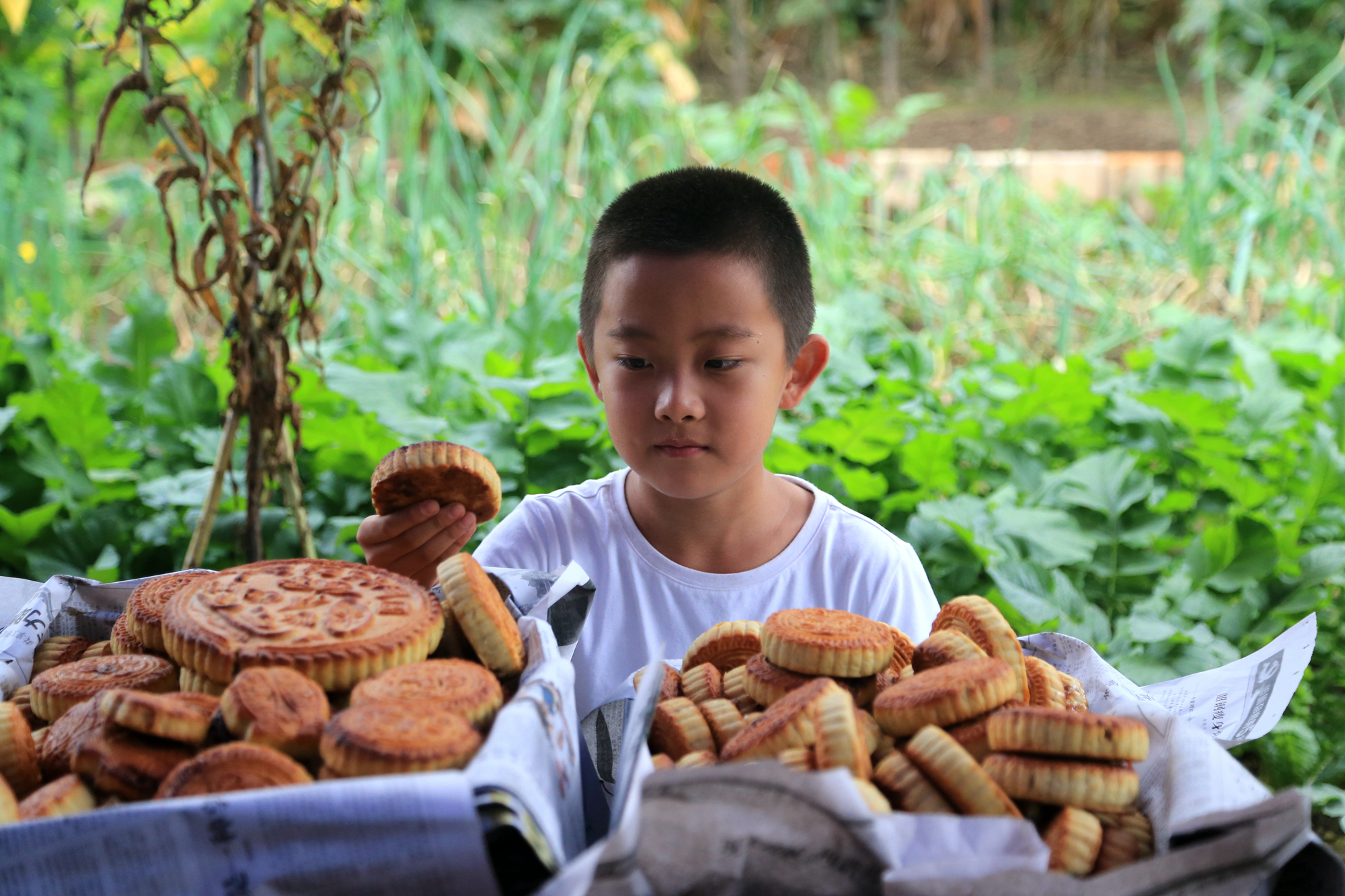 寻找老月饼-盂县秦村任怀志七旬老人土炉烤出中秋的味道_小时候