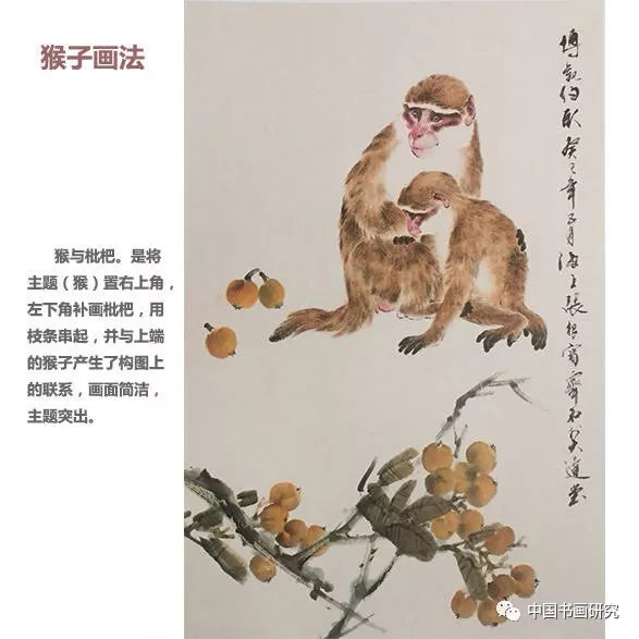 【国画技法】猴子的画法.