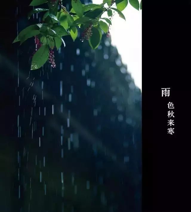 茶事|秋雨邀凉,更富有诗意