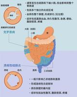 炎症性肠病:发病率飙升且可能致死的新富贵病 | 普唯尔