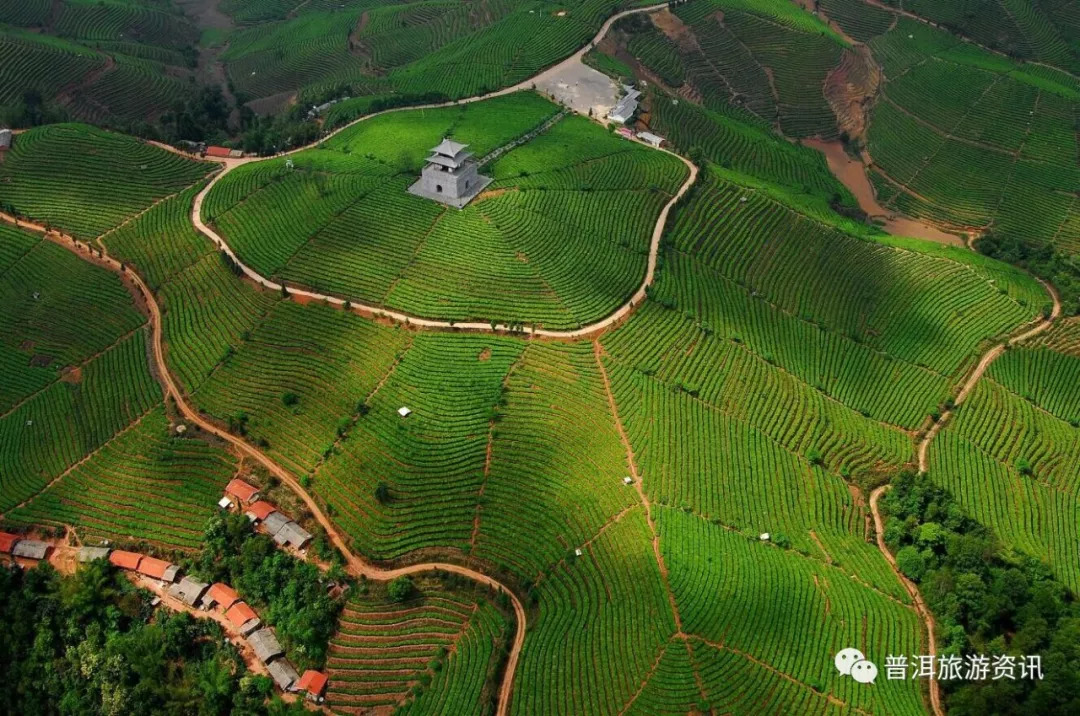 而那些地名皆有它的可溯之源,在此小编邀你一起走进普洱市八大茶山之