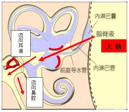 清华长庚推出脑脊液耳(鼻)漏多学科联合门诊