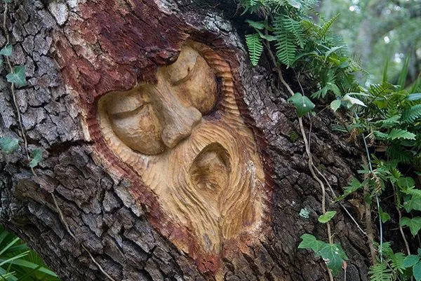 【设计师】树上长出人脸?这"树人"雕刻,可能会吓到不知情的路人