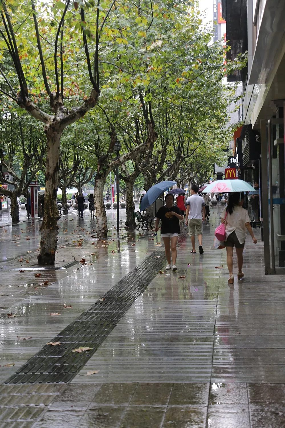 老城步行街,行人撑伞雨中行走