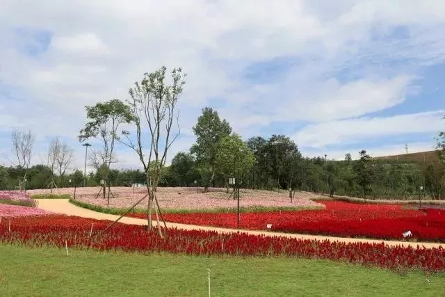 毕节这个公园贵州最大的城市湿地公园