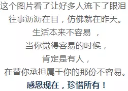 成语什么桃报李_成语故事图片(3)