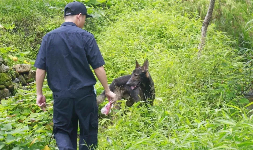 两岁女童失踪7小时，在深山中找到——一次惊心动魄的搜救行动