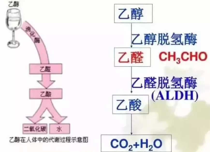 中国人口 文章_中国美食的小文章(2)