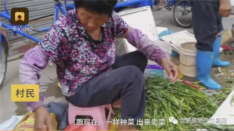 回到中心区八百平的别墅 真正有钱的,可能是市场卖菜的阿姨 佛山顺德